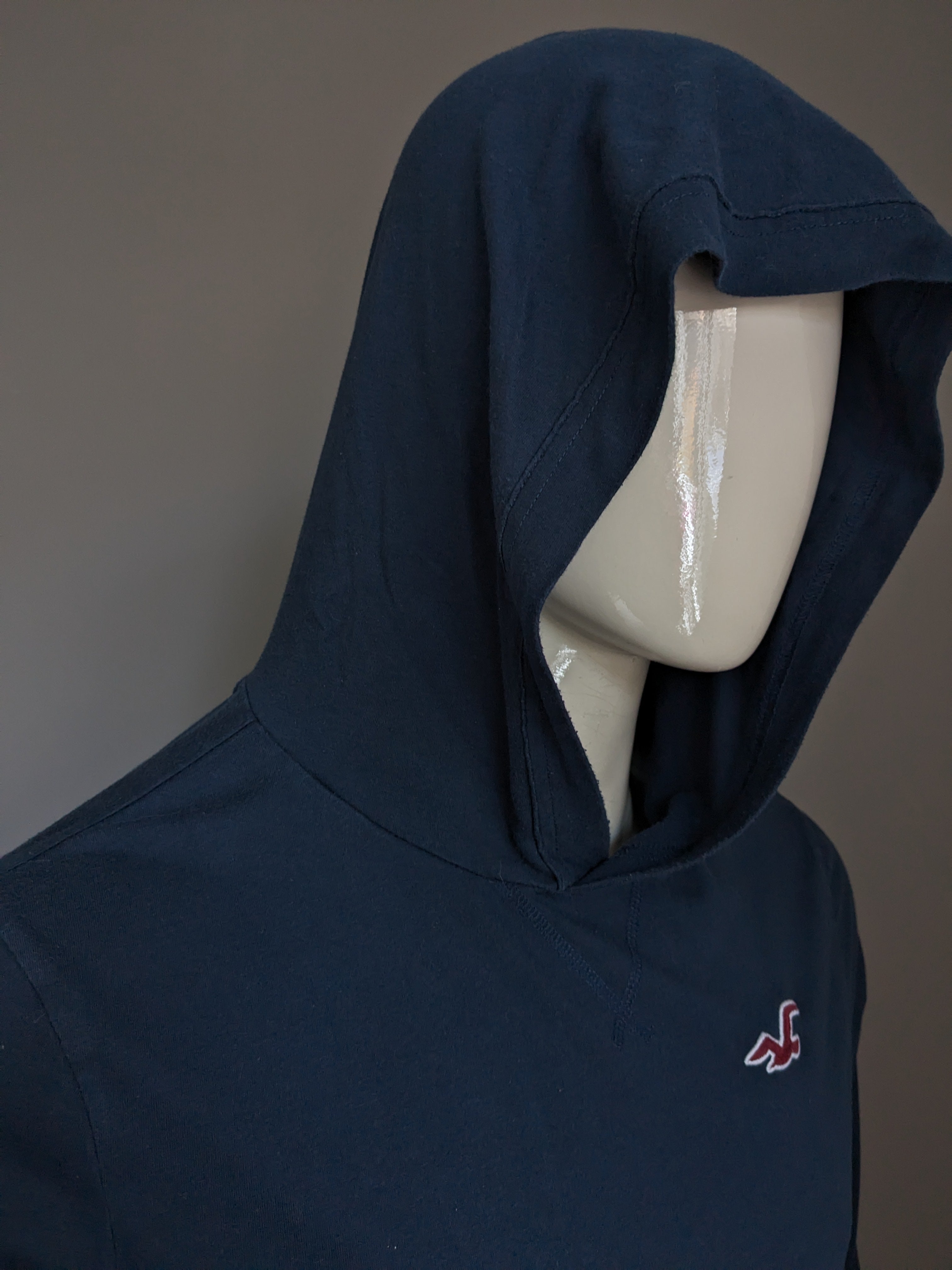 Hollister clearance thin hoodies