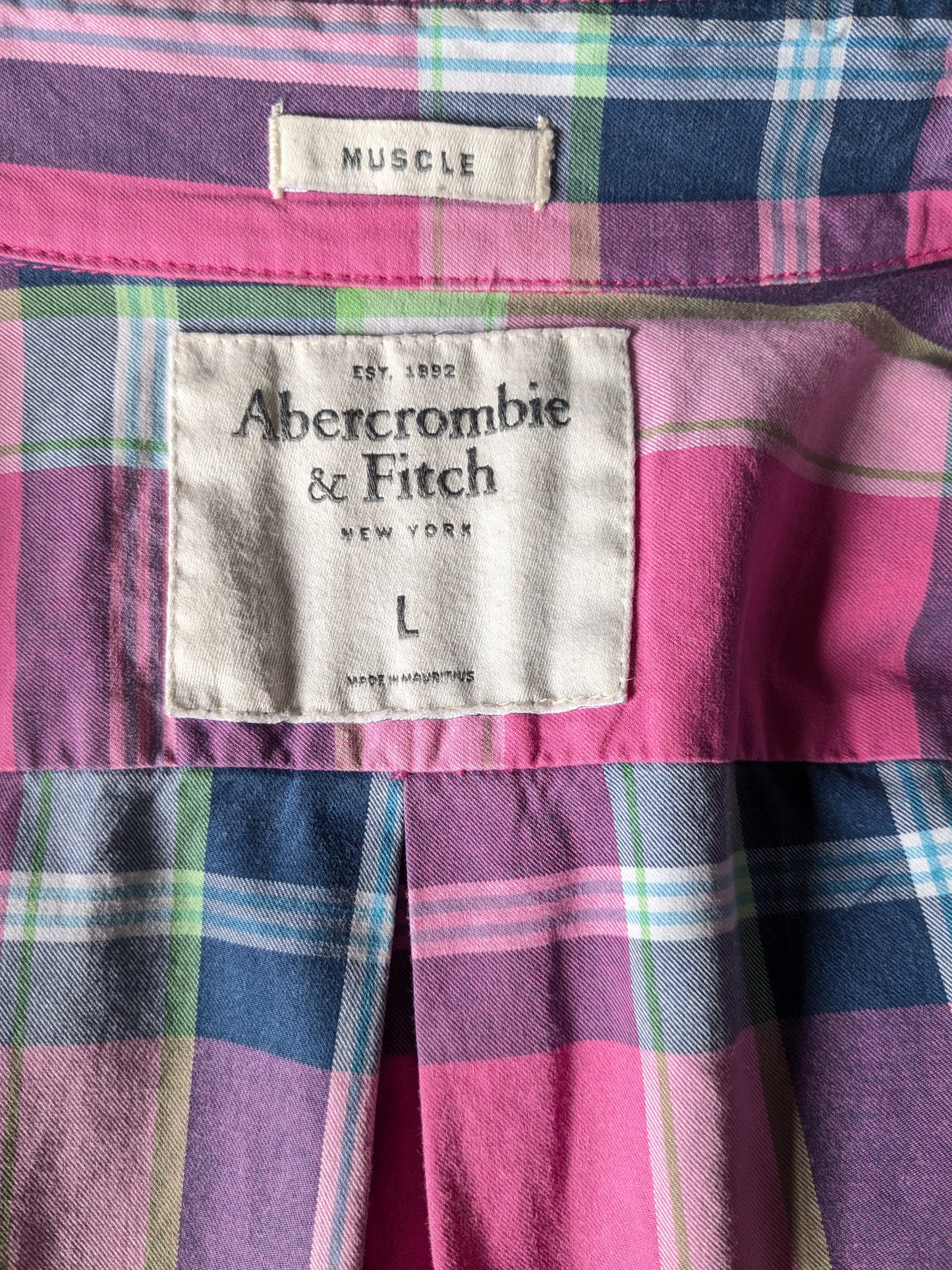 Abercrombie & Fitch shirt. Pink blue green checked. Size L. Type Muscle.