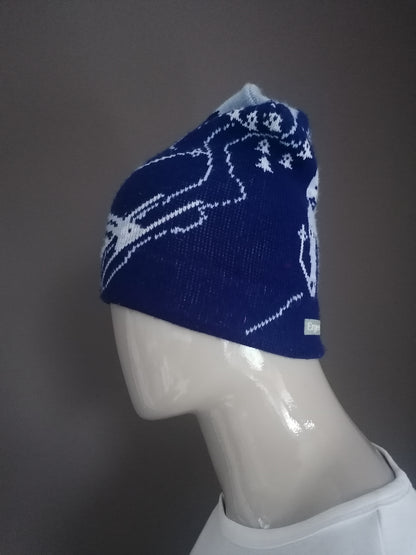 Vintage Ergee hat. Blue ski image.