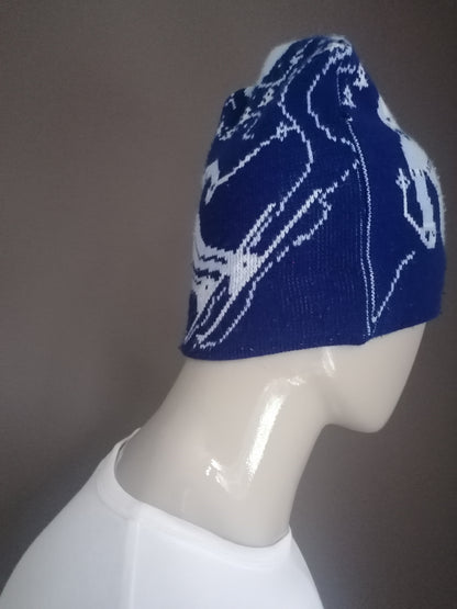 Vintage Ergee hat. Blue ski image.